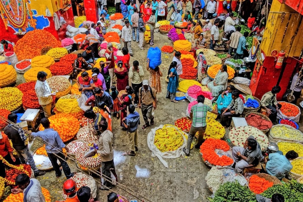 Discovering Delhi – Survival&nbsp;Tips