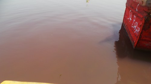 It's more brown than Pink to be honest