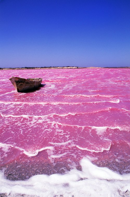 What Google said the Pink Lake looks like