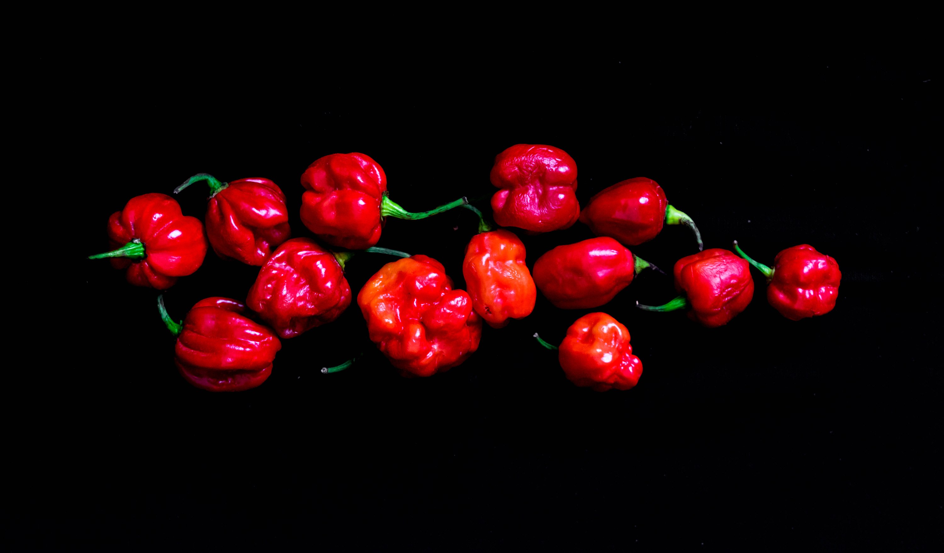 Food Photography: Rice and&nbsp;Stew