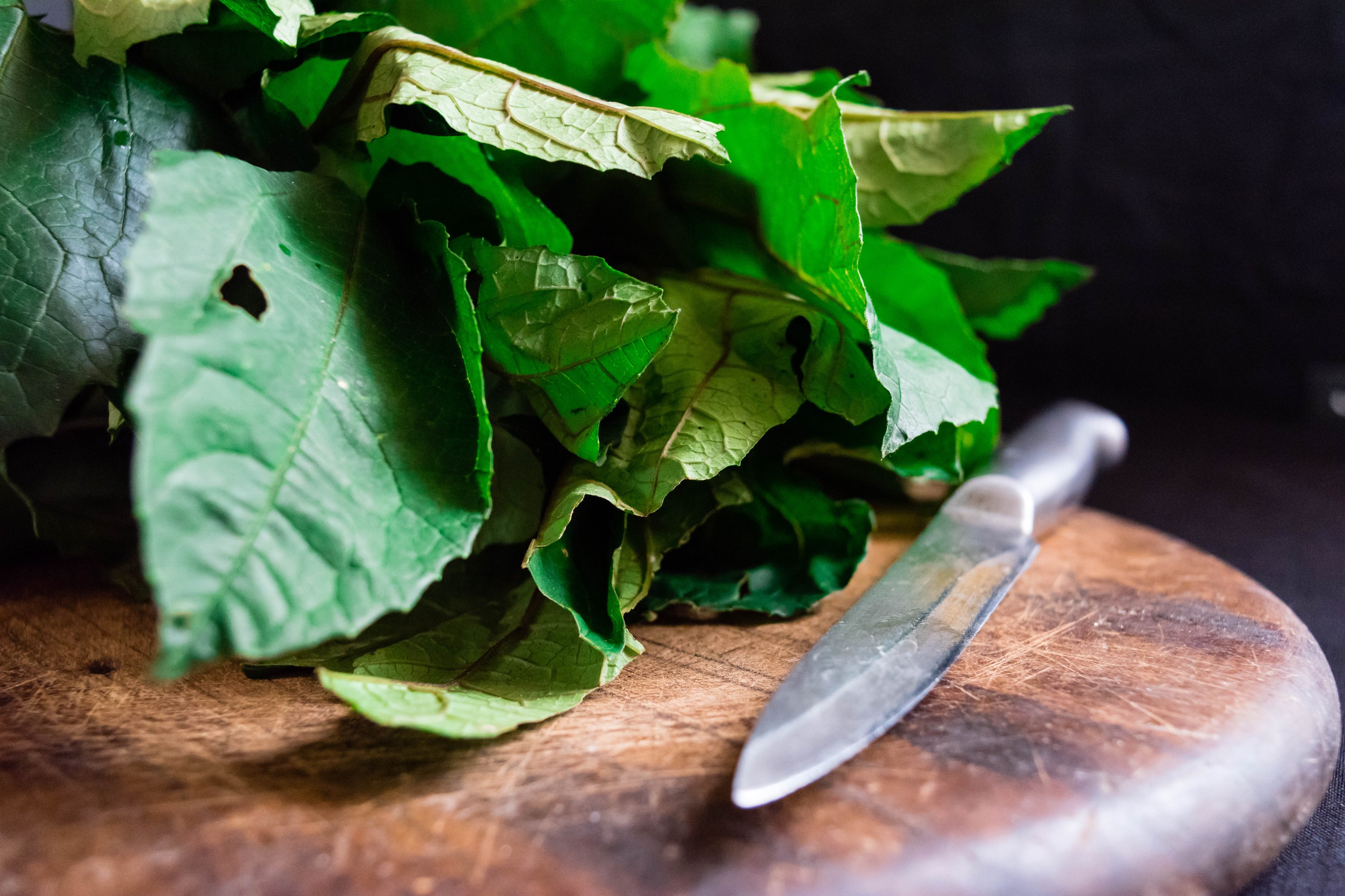fresh green vegetable spinach pumpkin leaves or Nigerian Ugwu on vintage wooden chopping board with knife isolated on dark background for rustic cooking concept for local Market